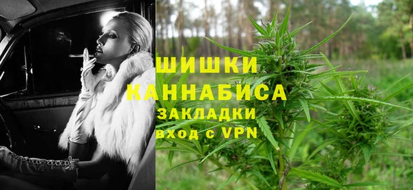 спайс Алзамай