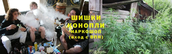 индика Алексеевка