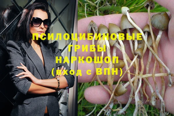 индика Алексеевка