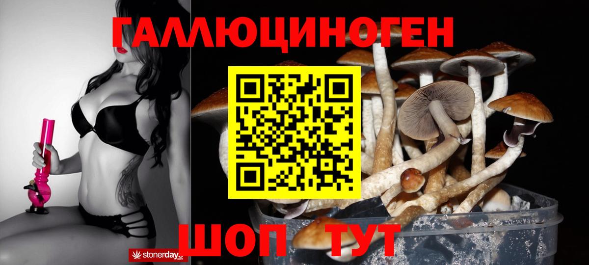Псилоцибиновые грибы Magic Shrooms  Вход с VPN  Аргун 