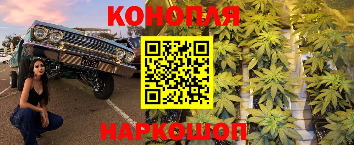 Конопля White Widow  Марихуана гибрид  Аргун  Вход с VPN  Канабис White Widow 